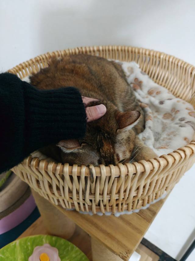 找搭子