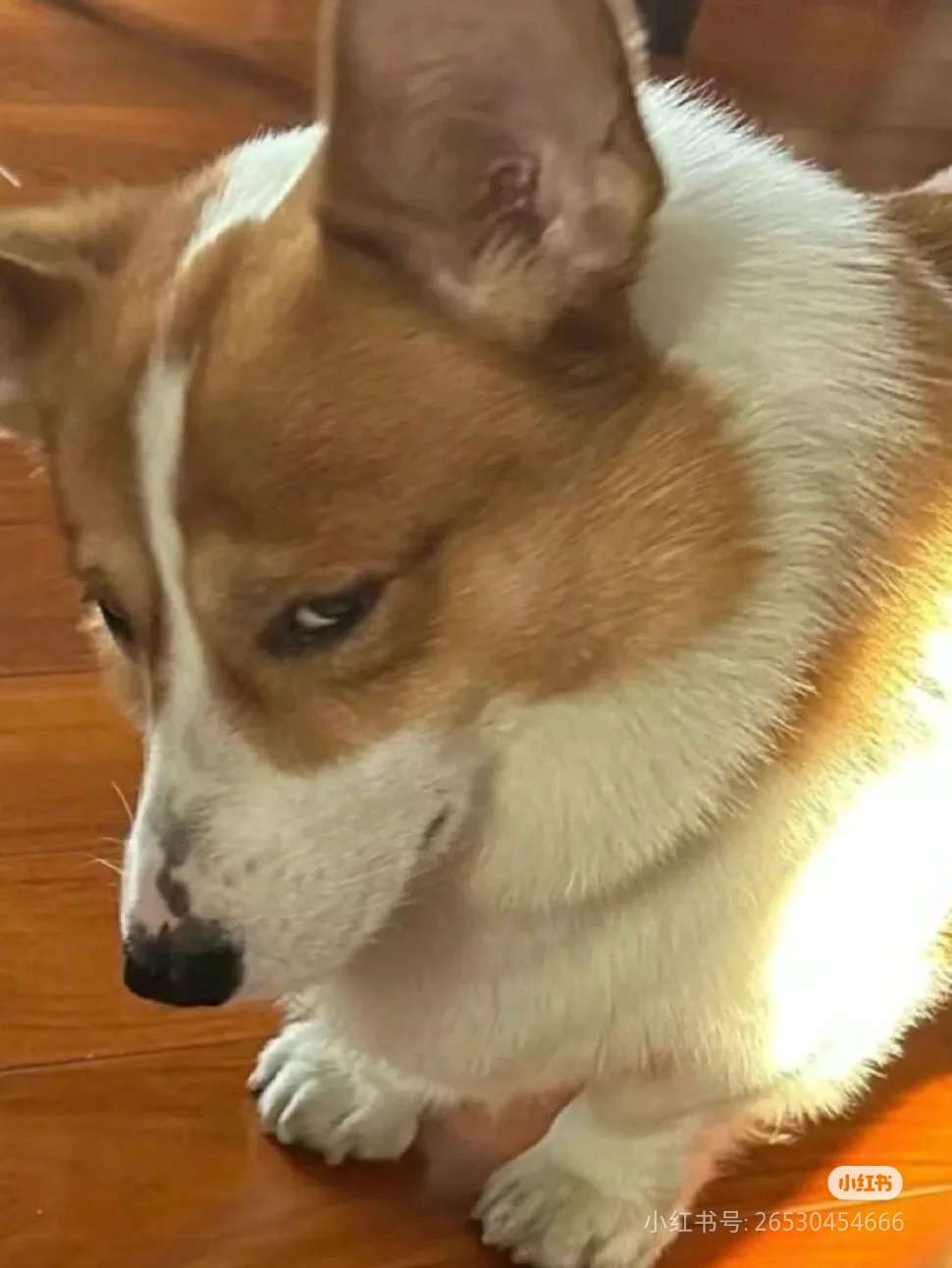 找搭子