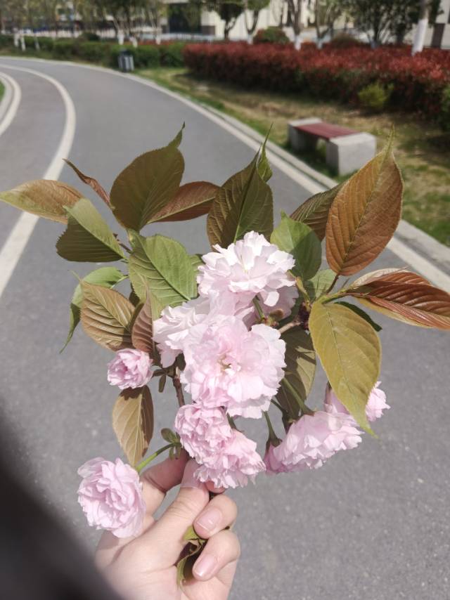 找搭子