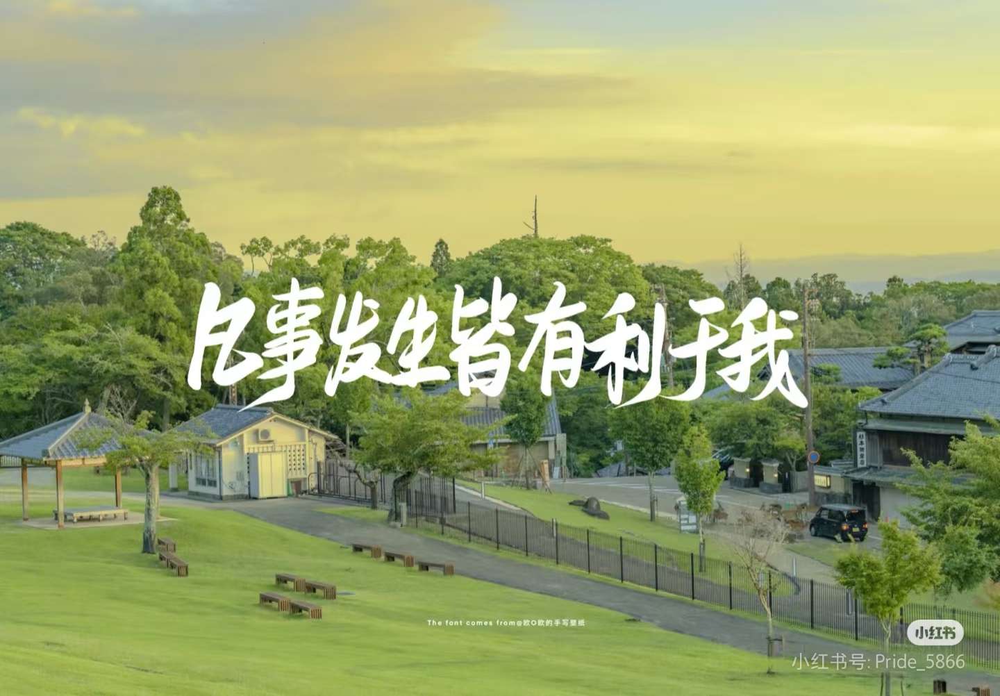 找搭子