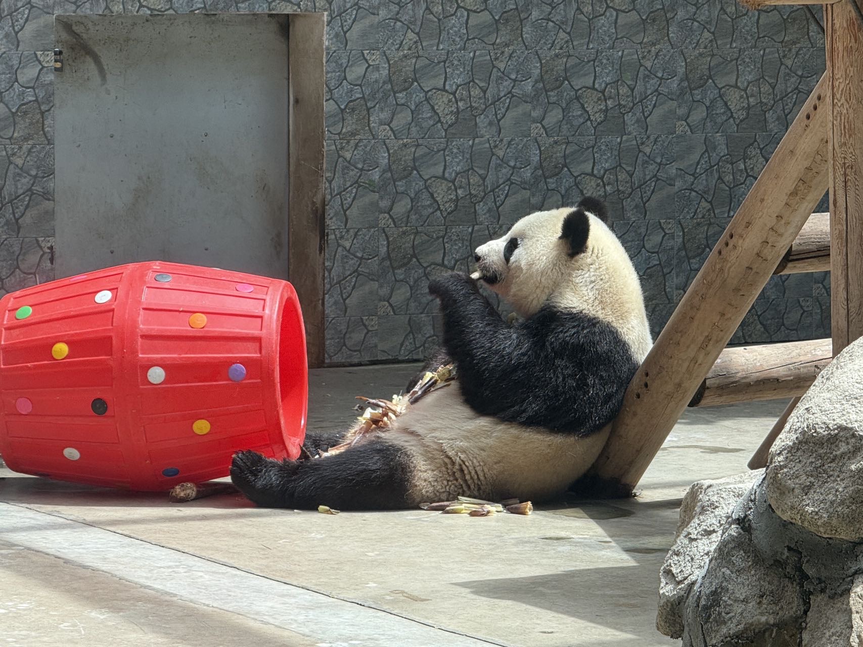咕哇找搭子
