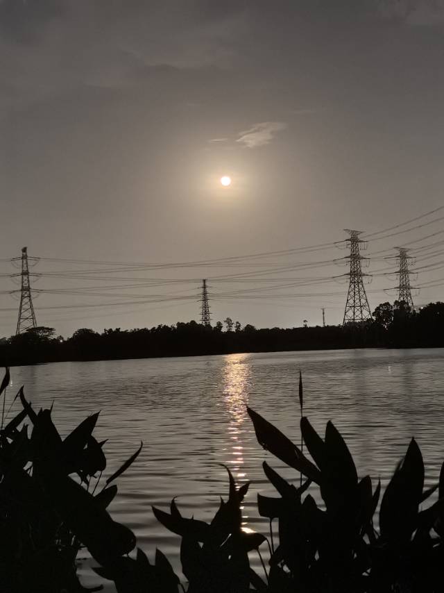 找搭子