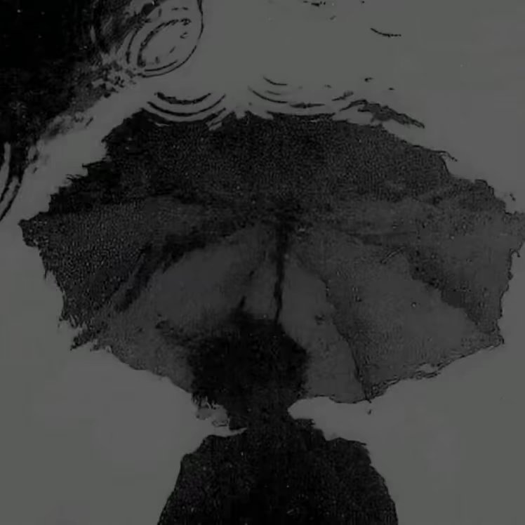 找搭子