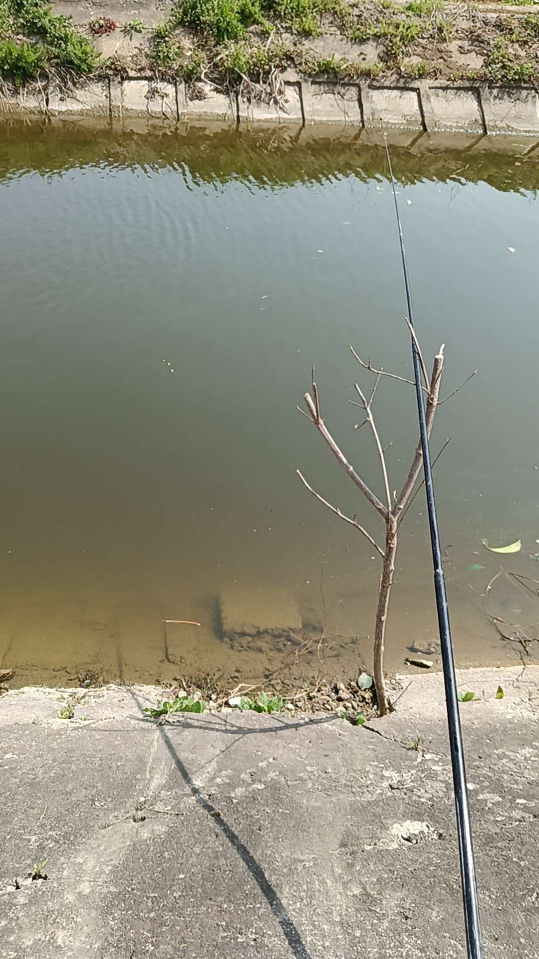 找搭子