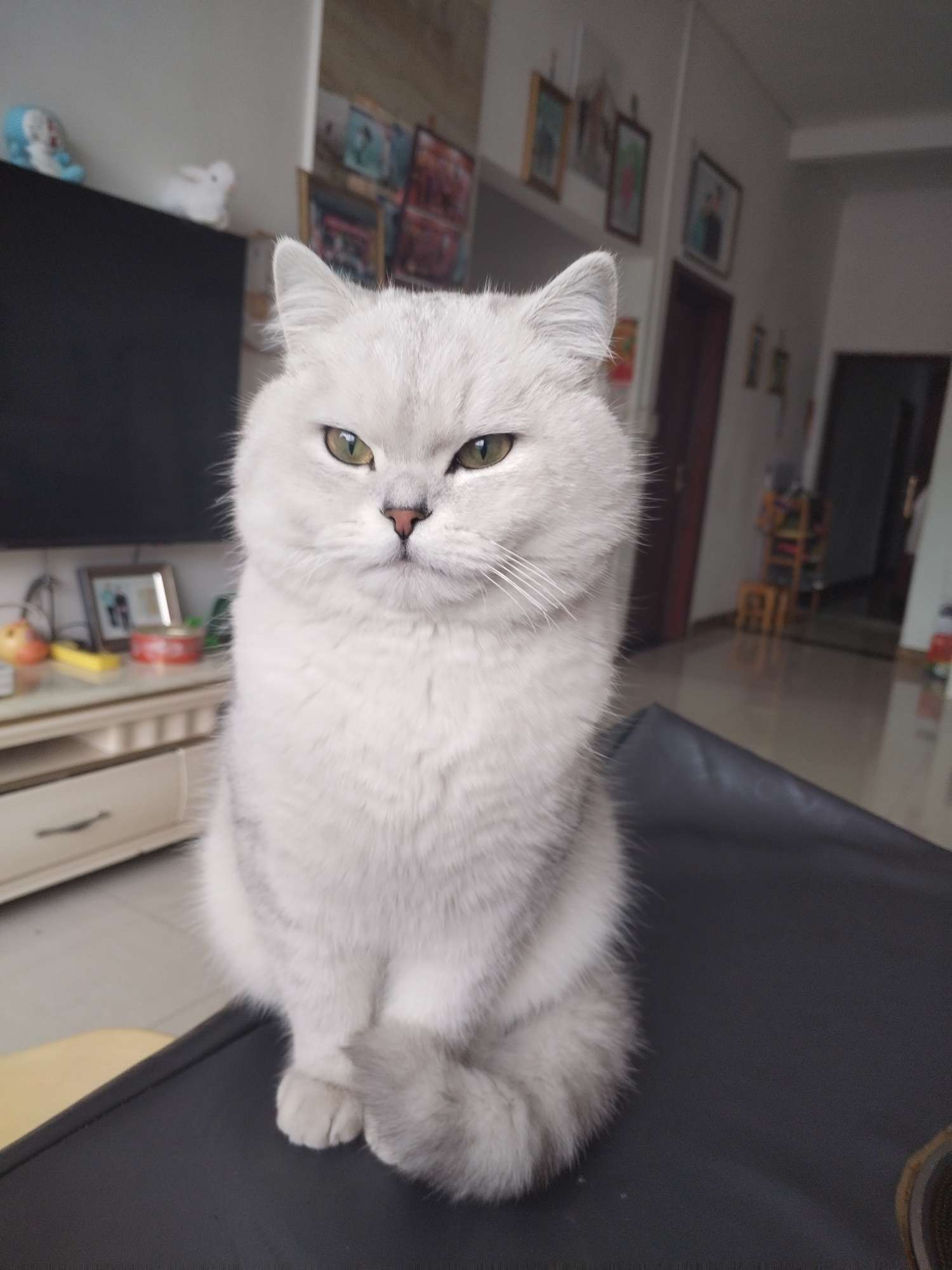 找搭子