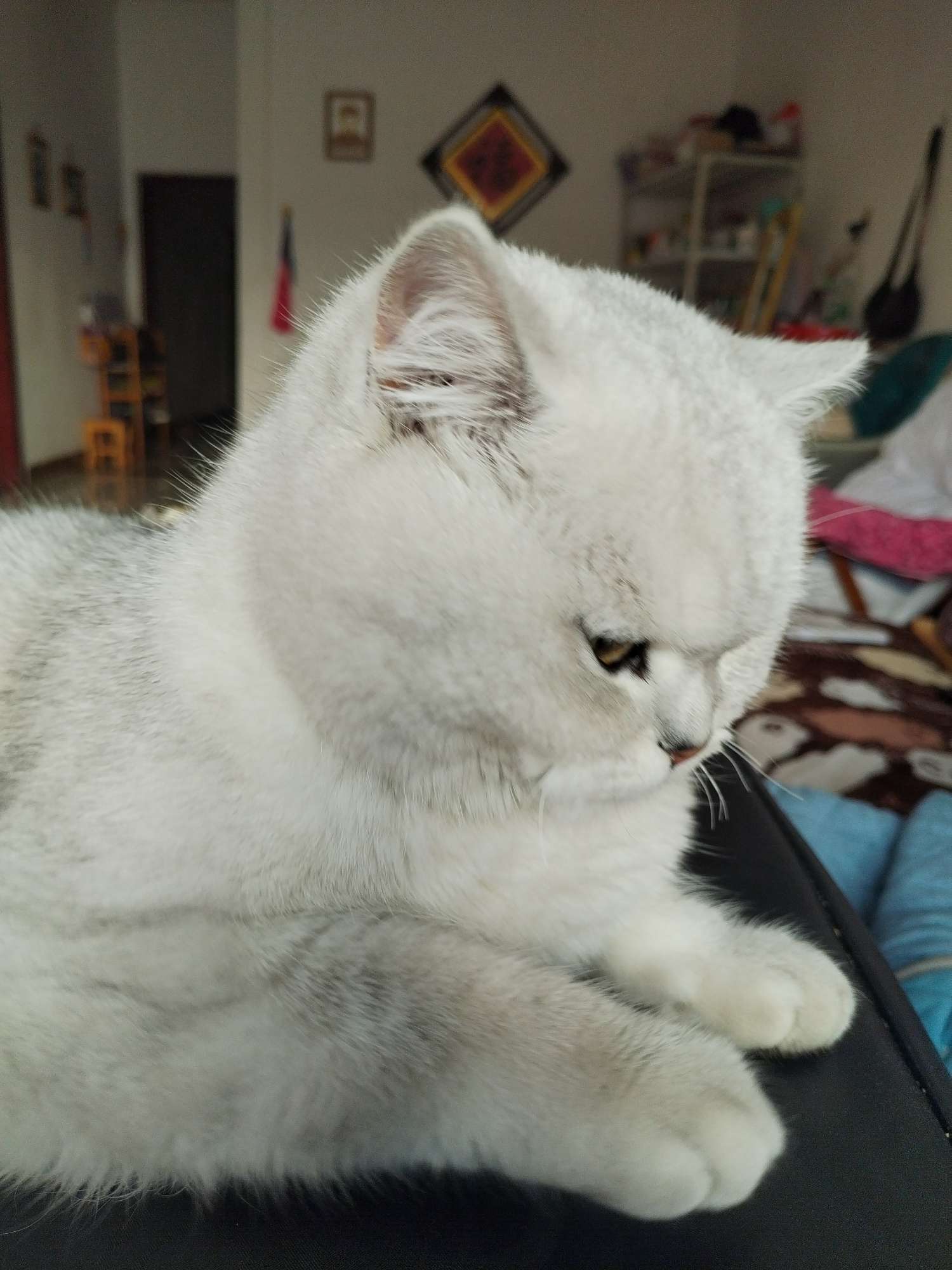 找搭子