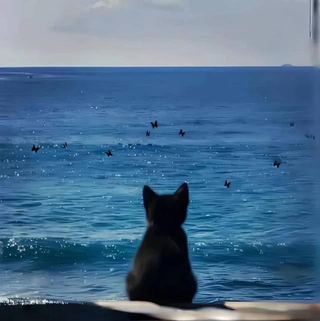 找搭子