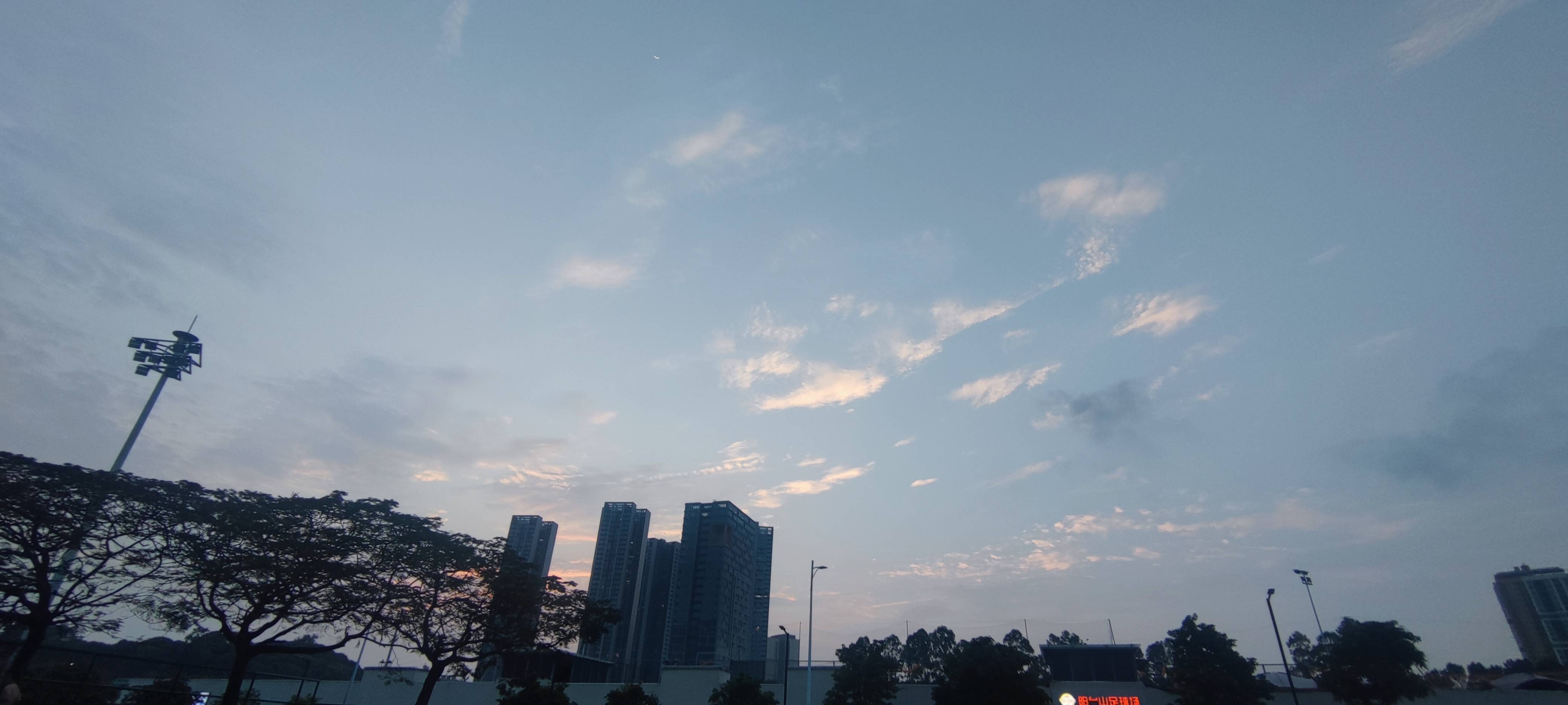 找搭子