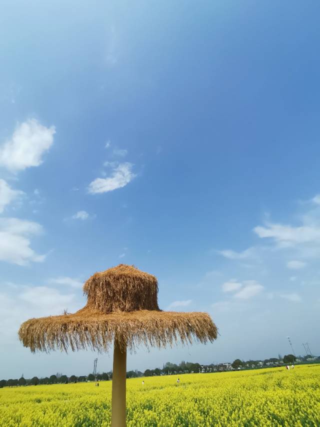 找搭子