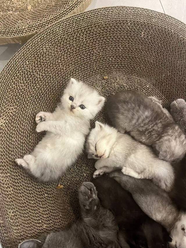 找搭子