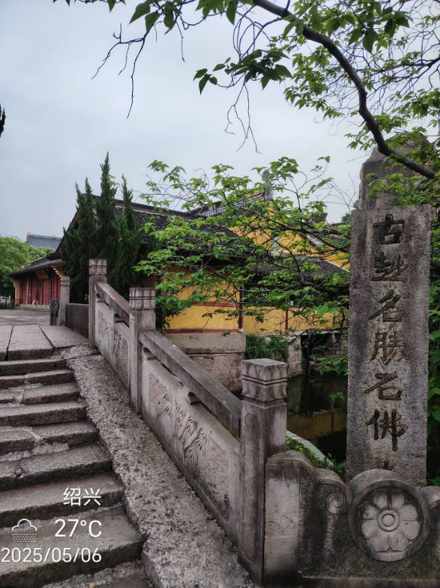 找搭子