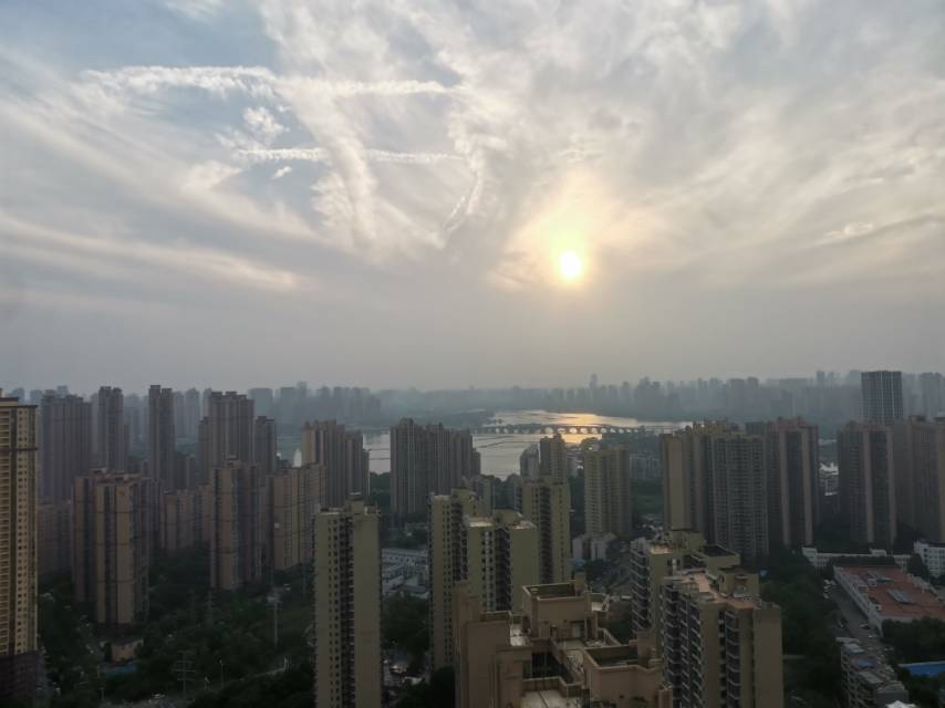 找搭子