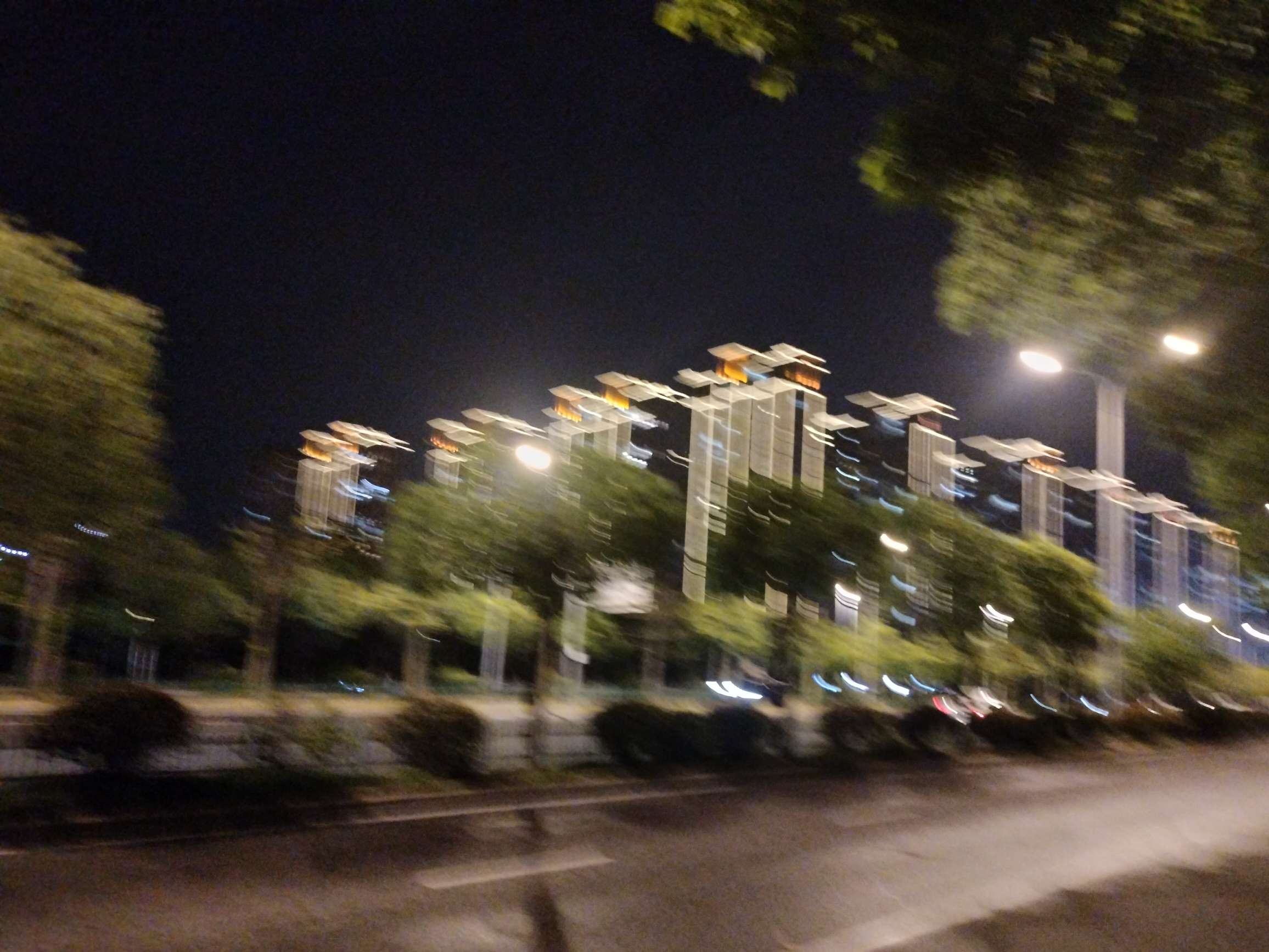 找搭子
