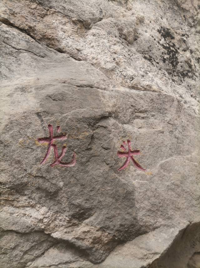 找搭子