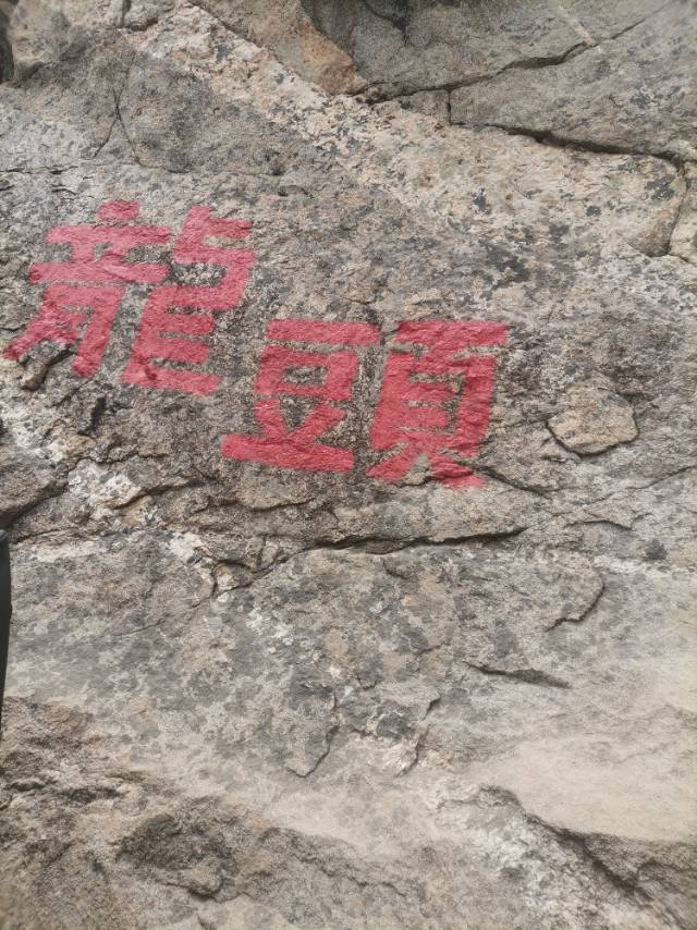 找搭子