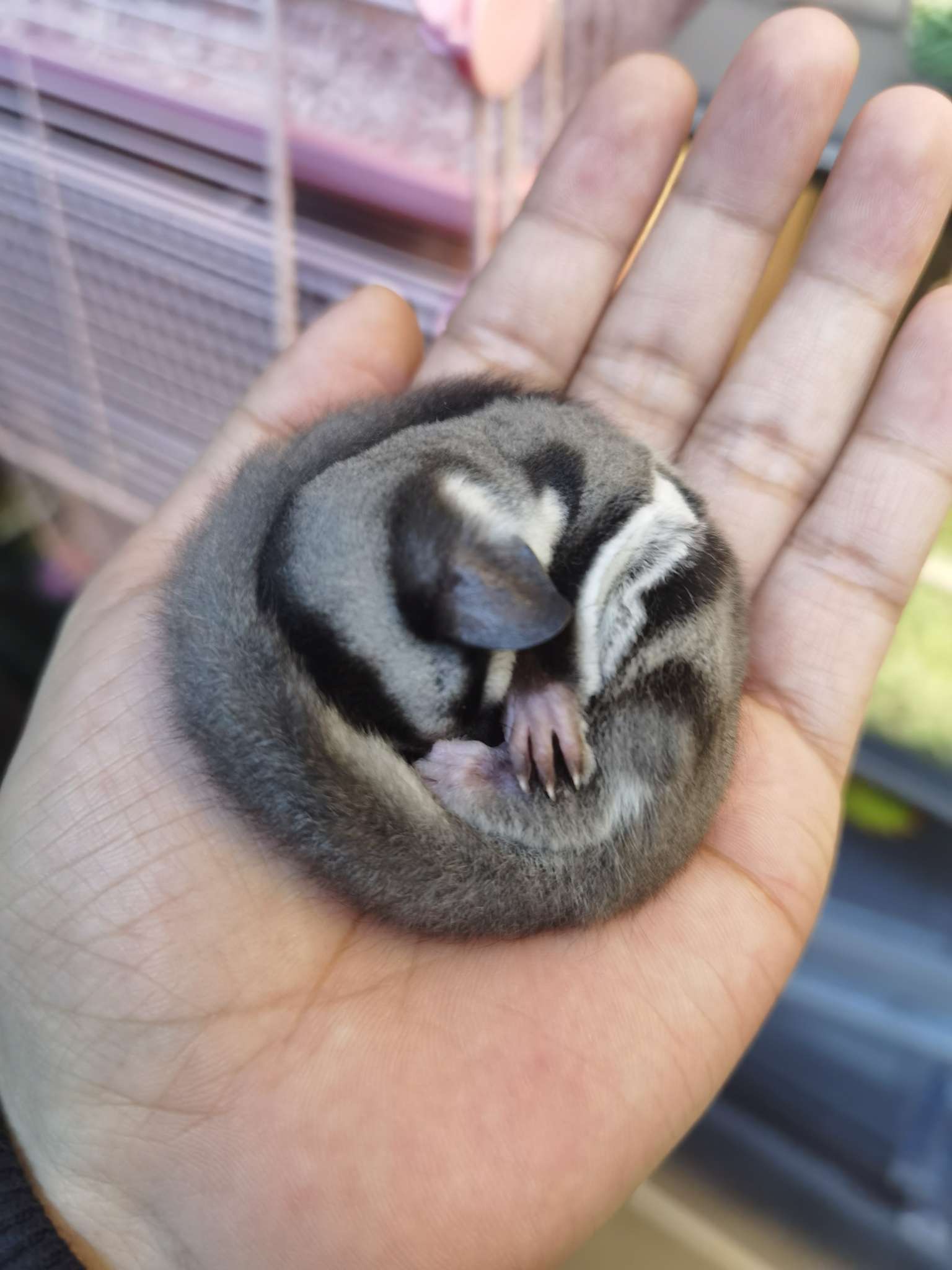 找搭子