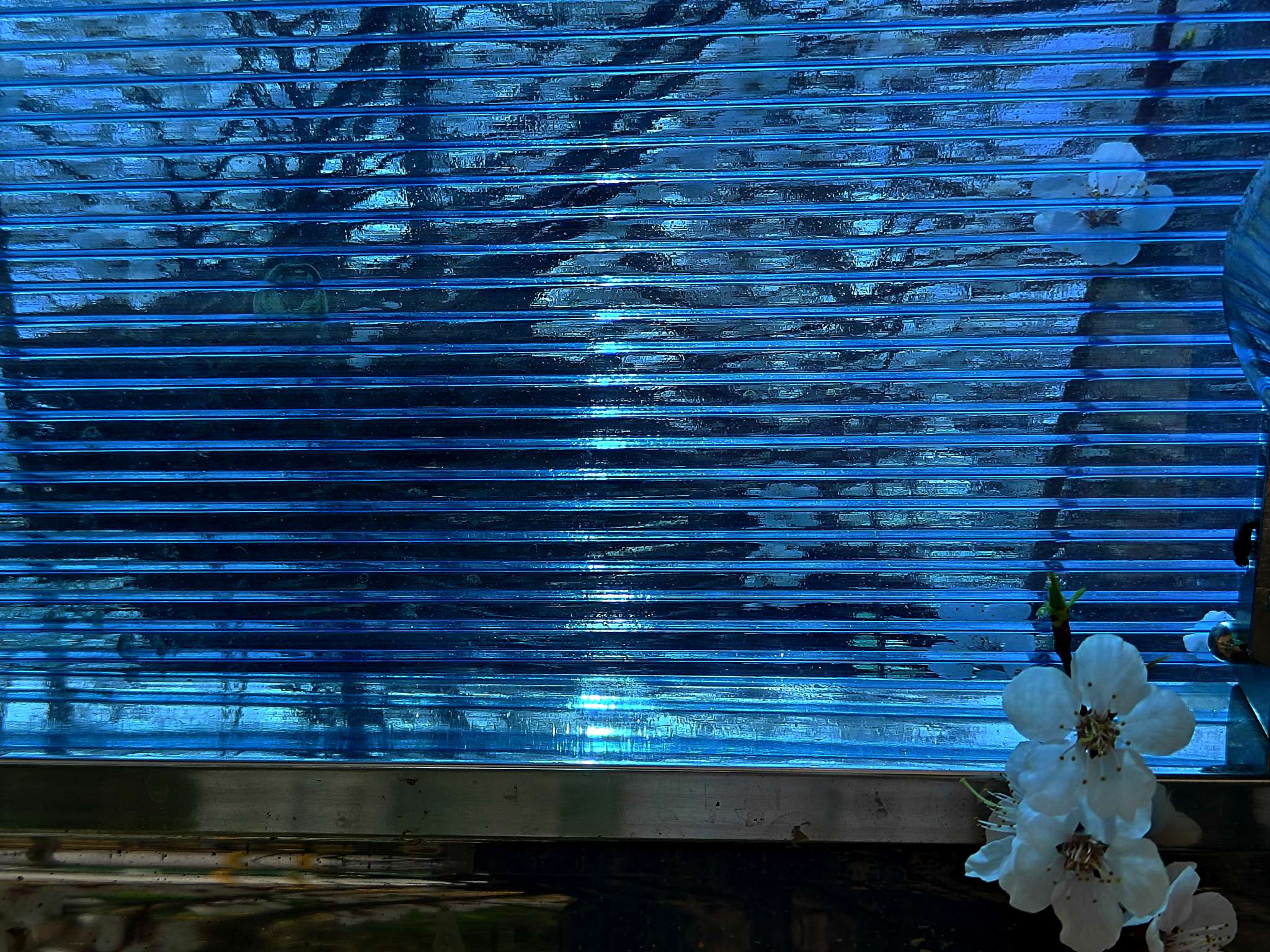 找搭子