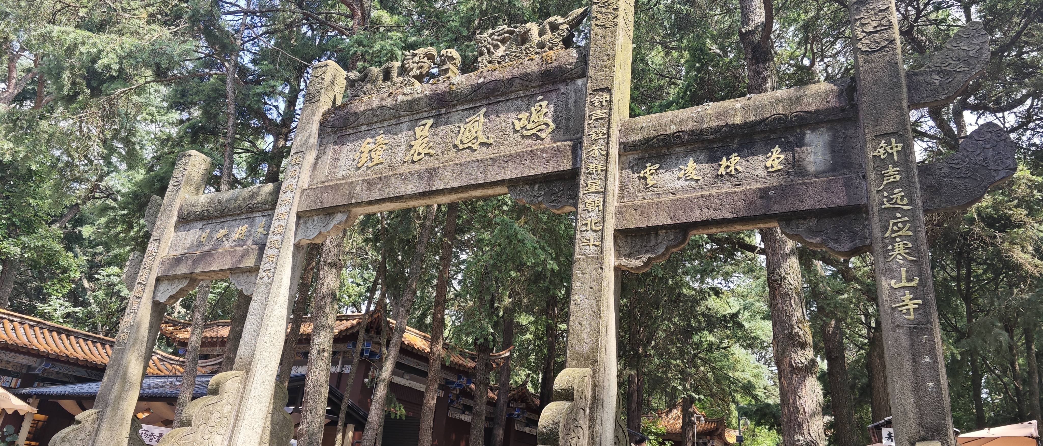 找搭子