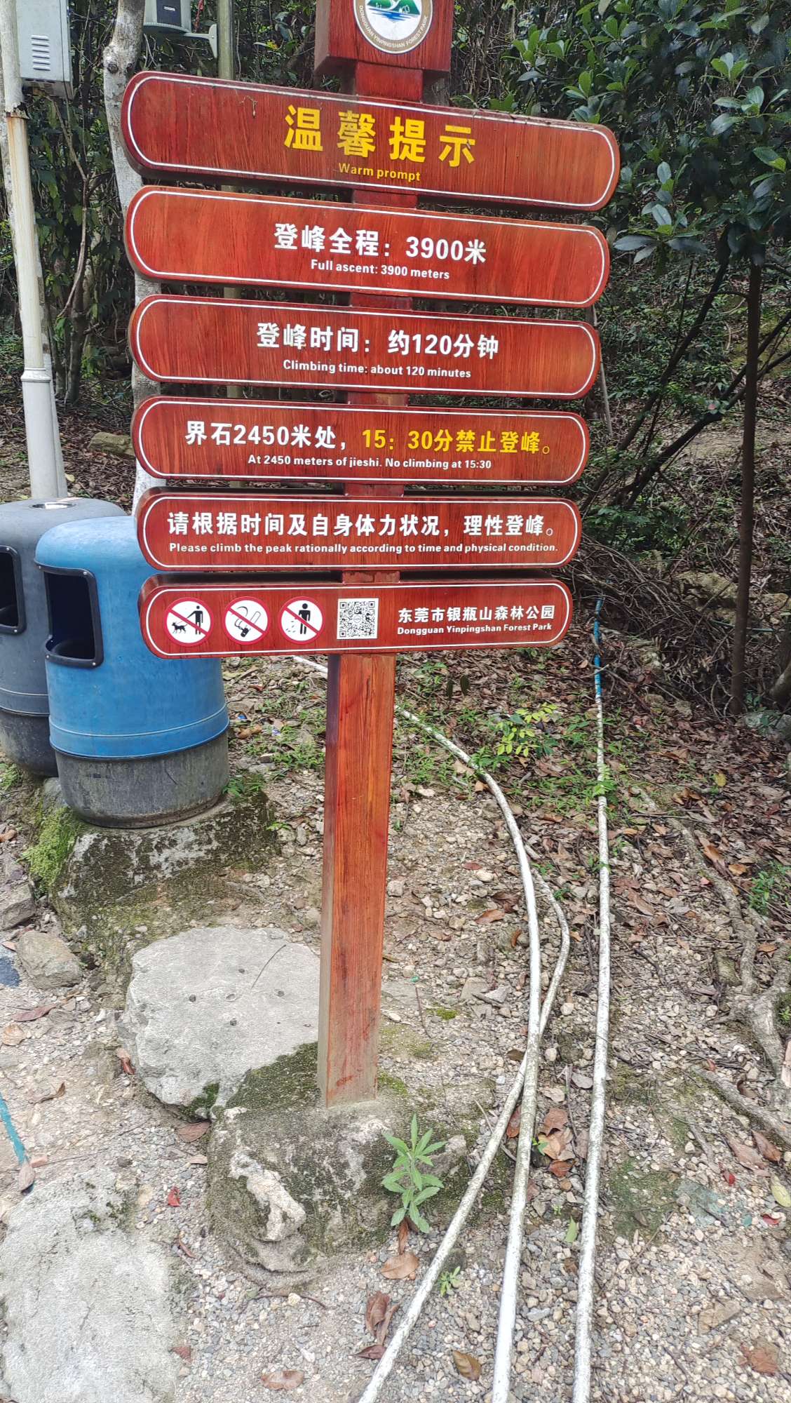 找搭子