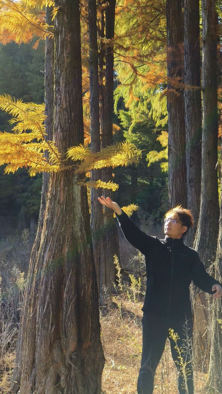 找搭子