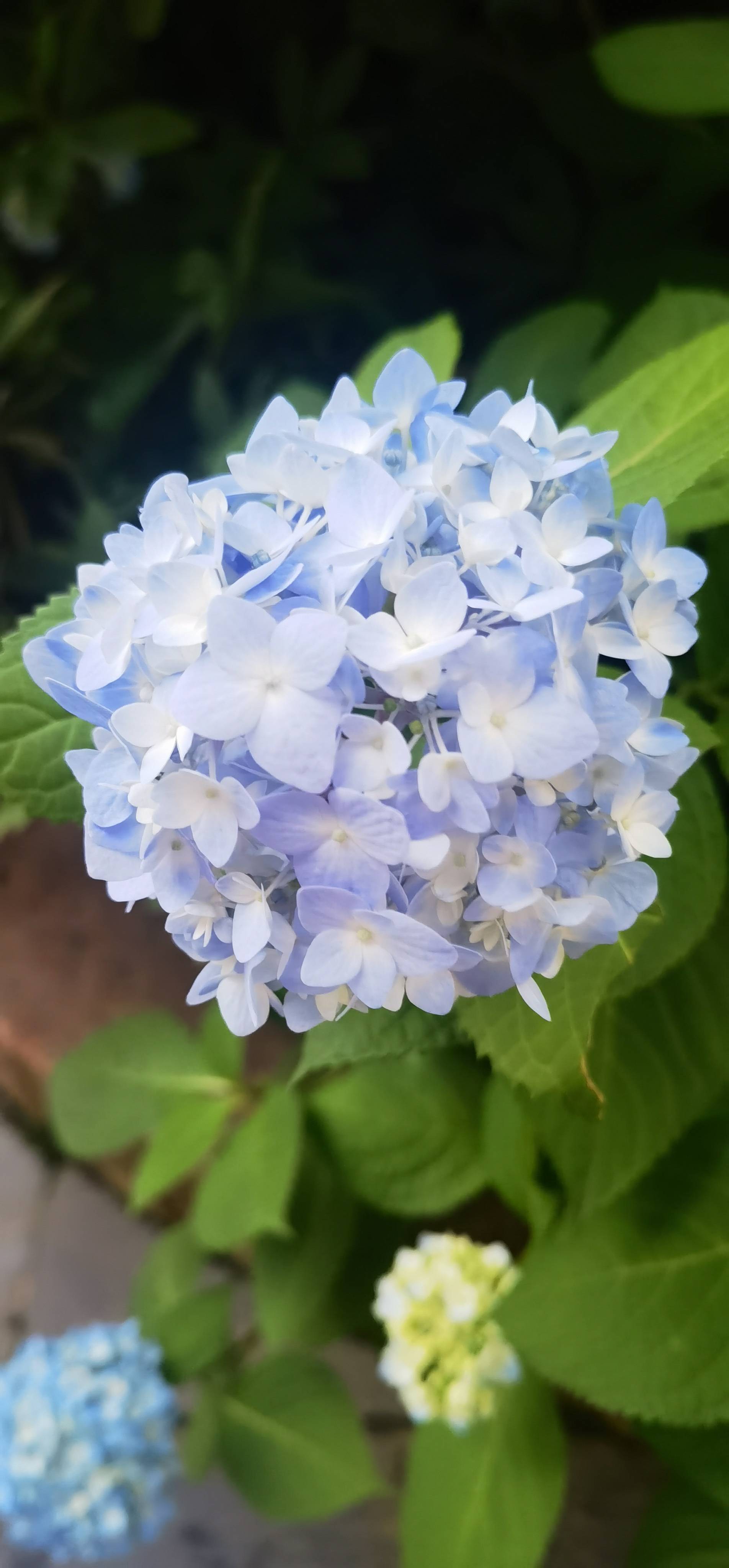 找搭子