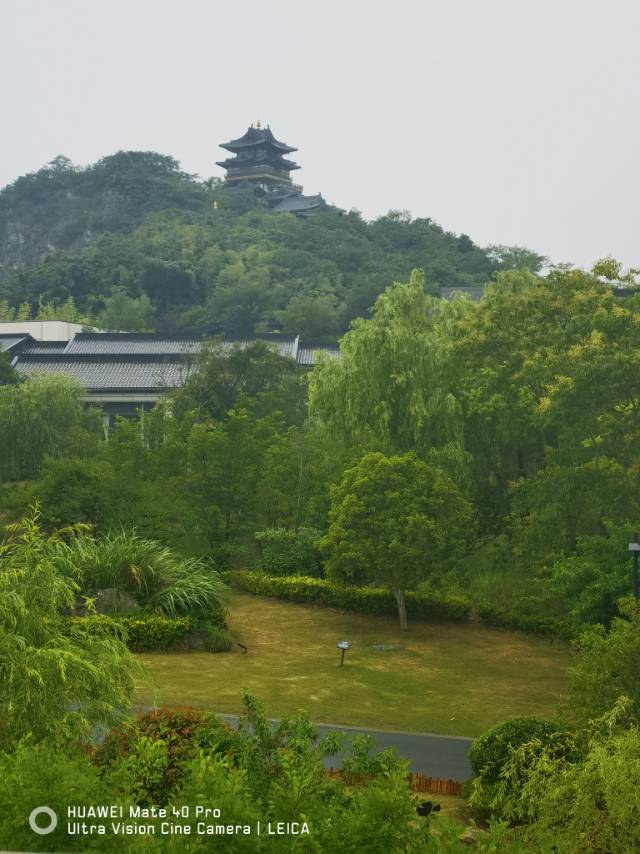 找搭子