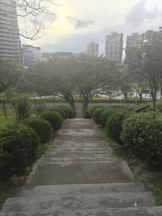 找搭子