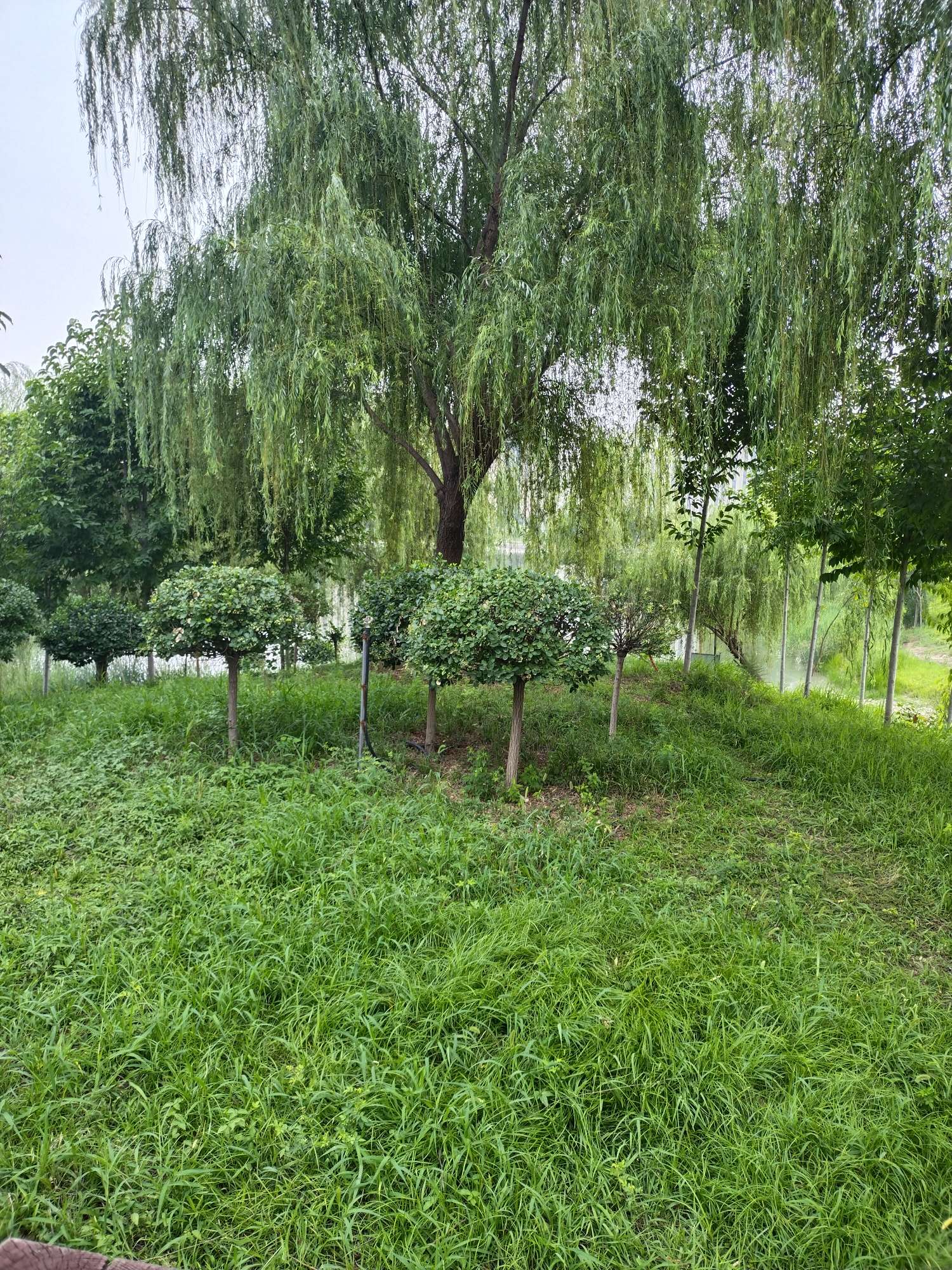 找搭子