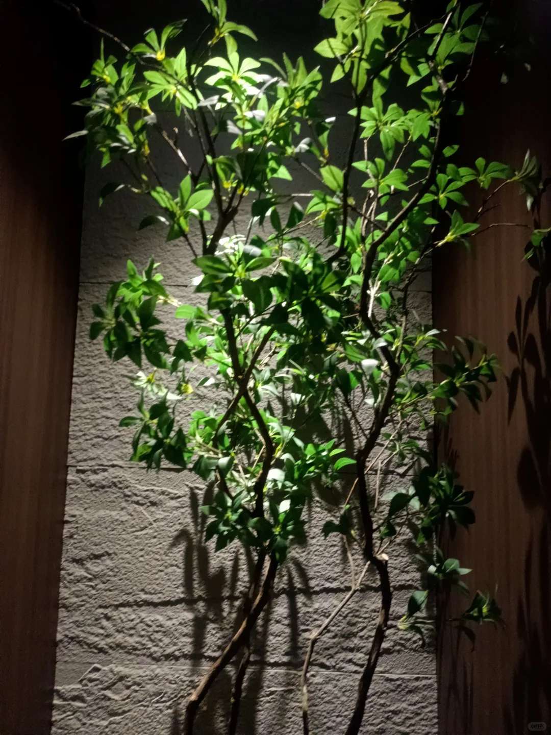 找搭子