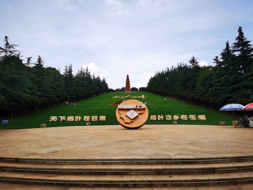 找搭子
