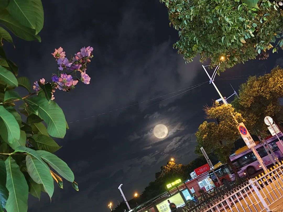 找搭子