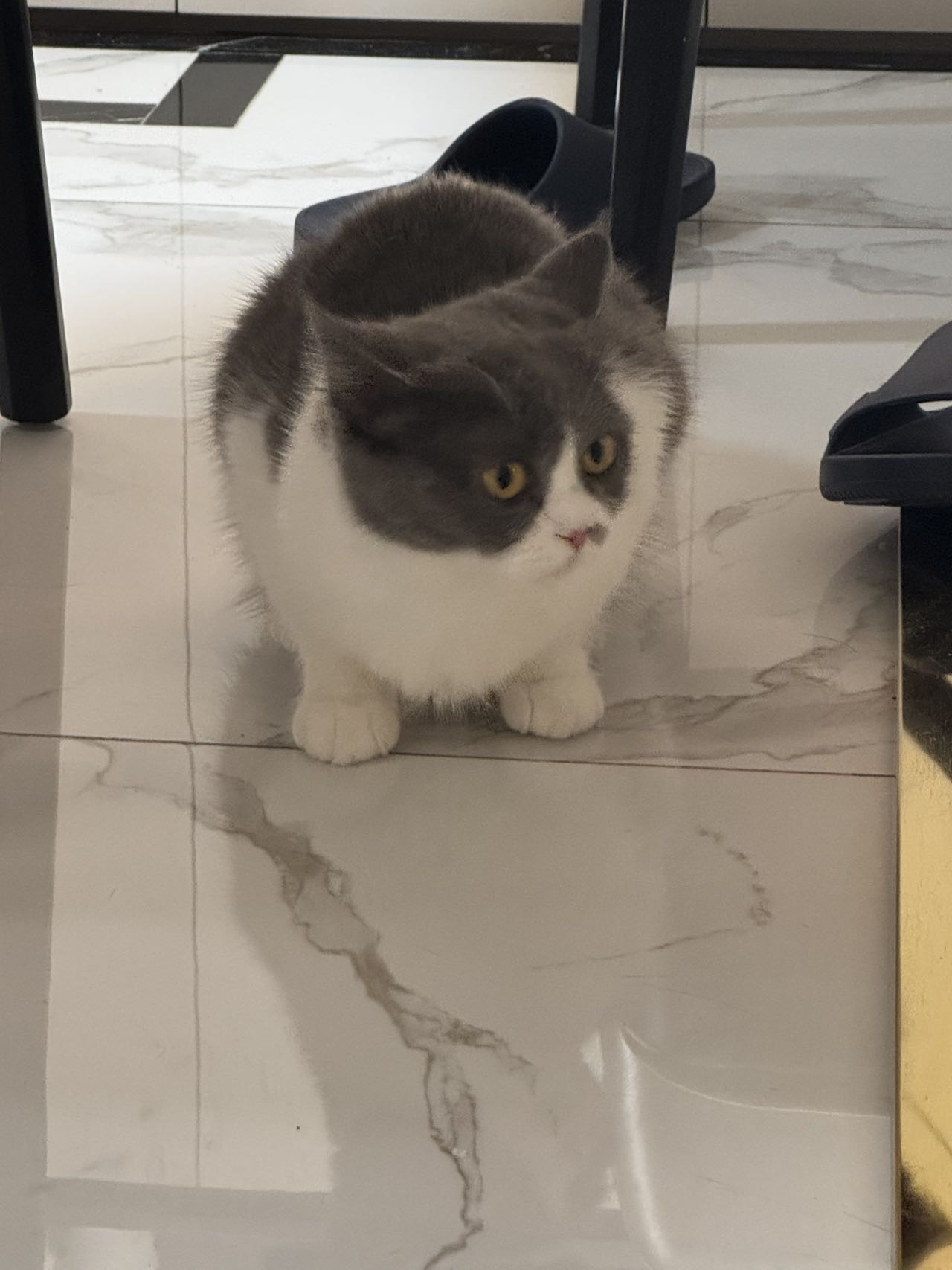 找搭子