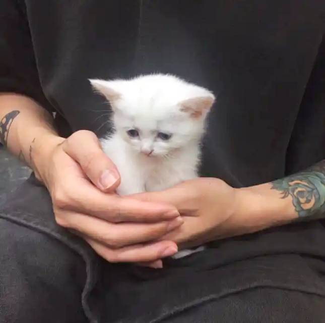 找搭子