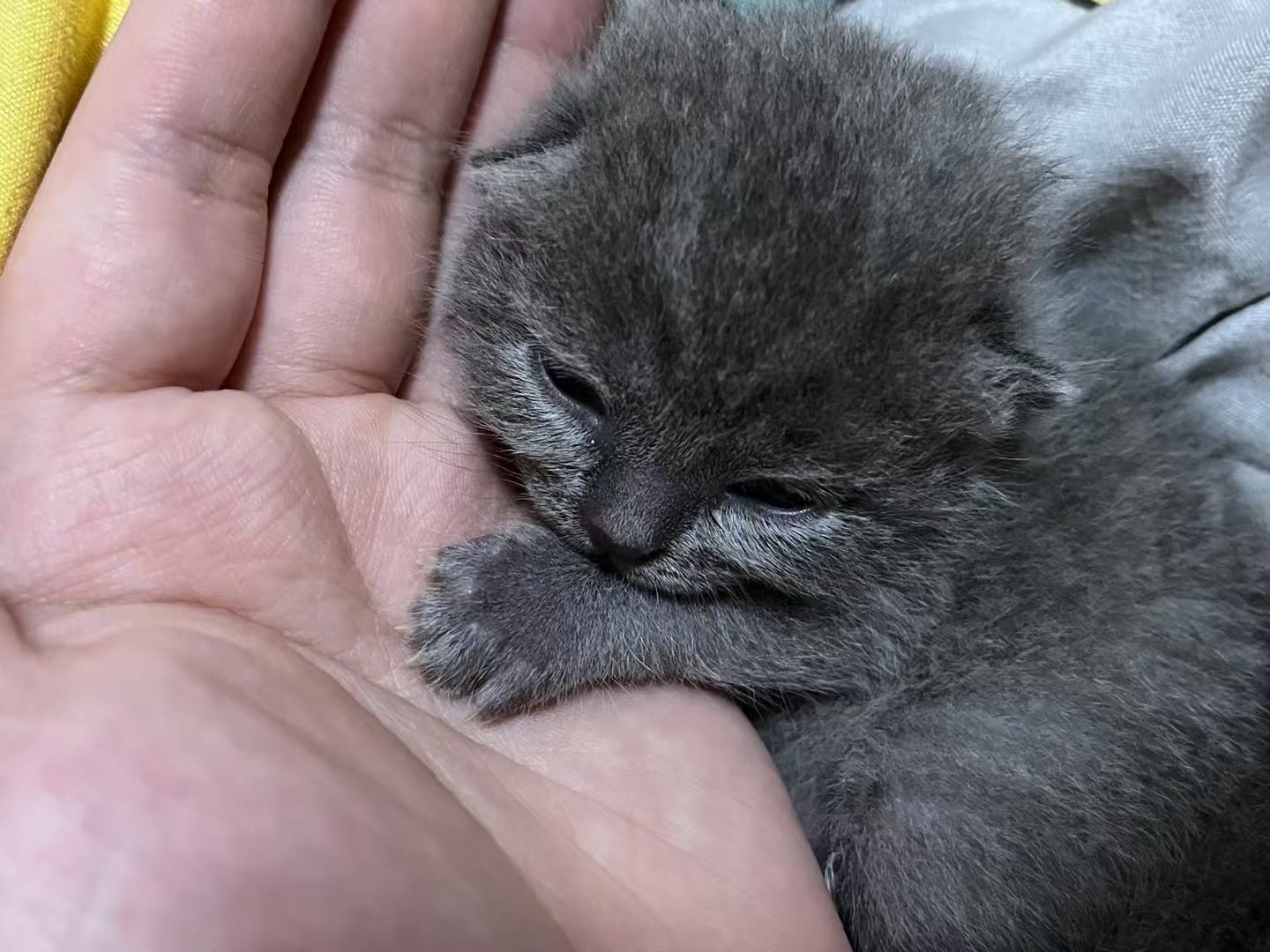 找搭子