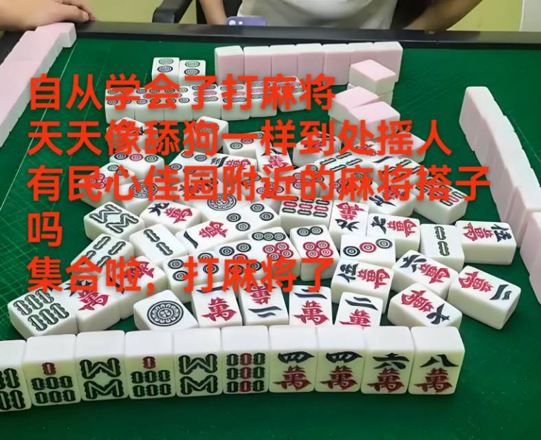 找搭子