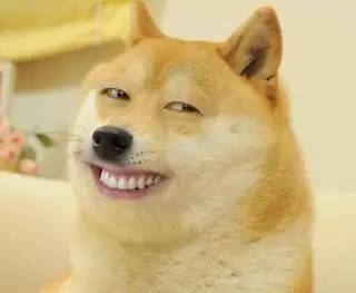 找搭子