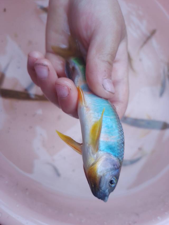 找搭子