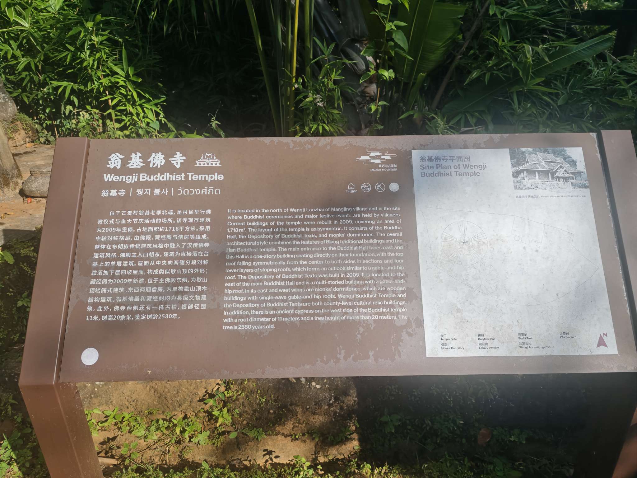 咕哇找搭子