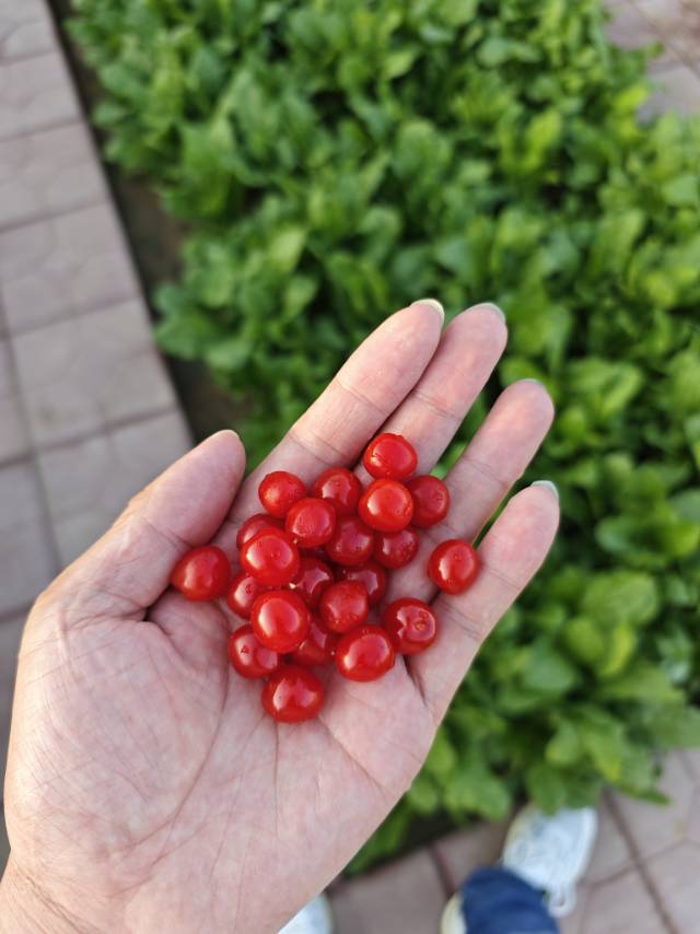 找搭子