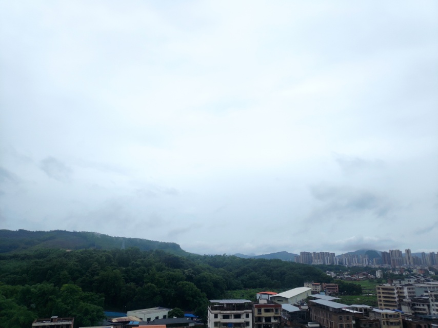 找搭子