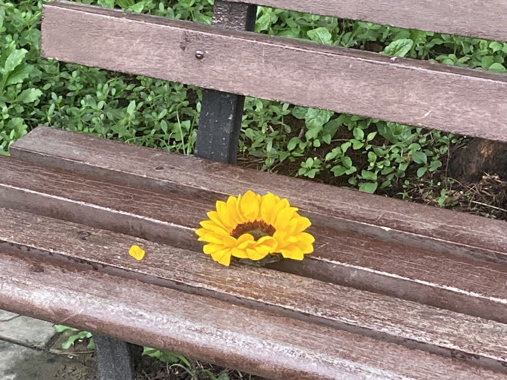 找搭子