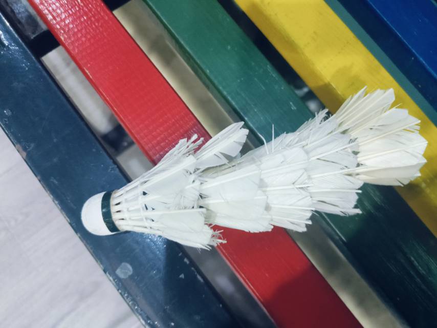 找搭子