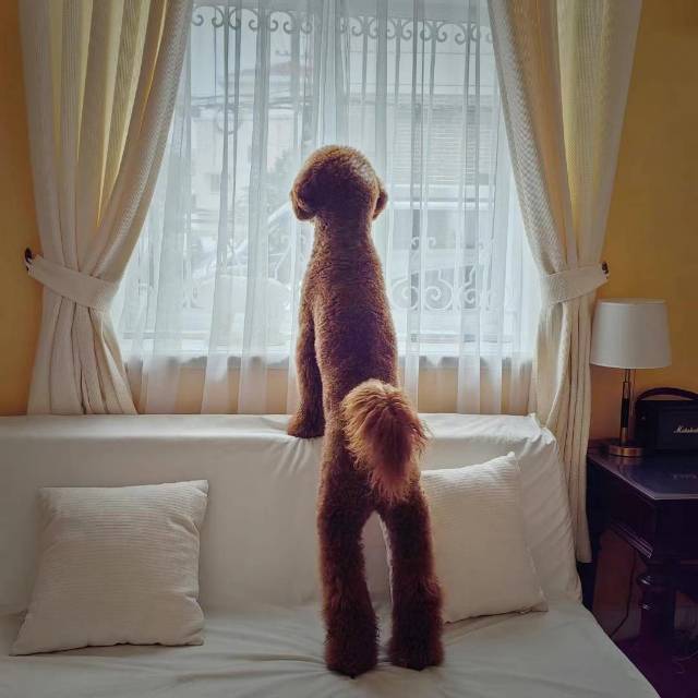 找搭子