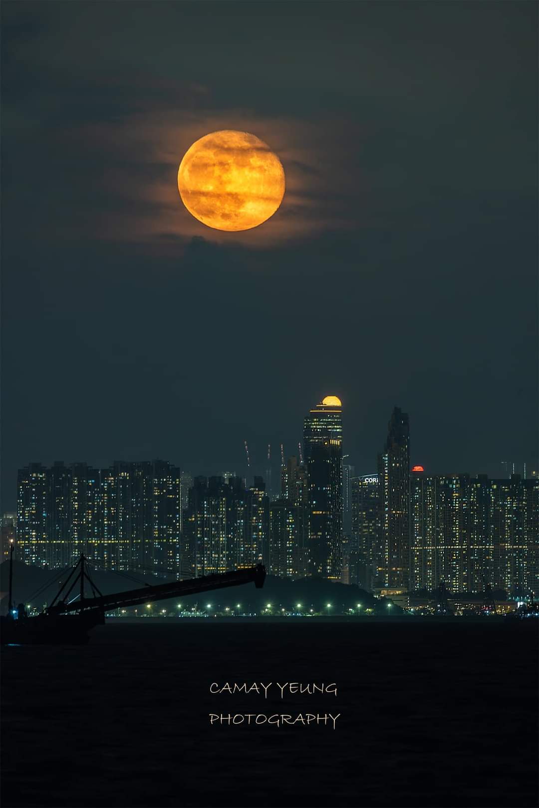 找搭子