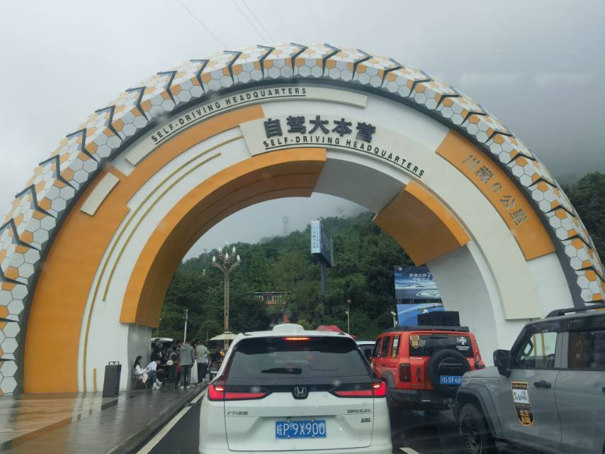 找搭子
