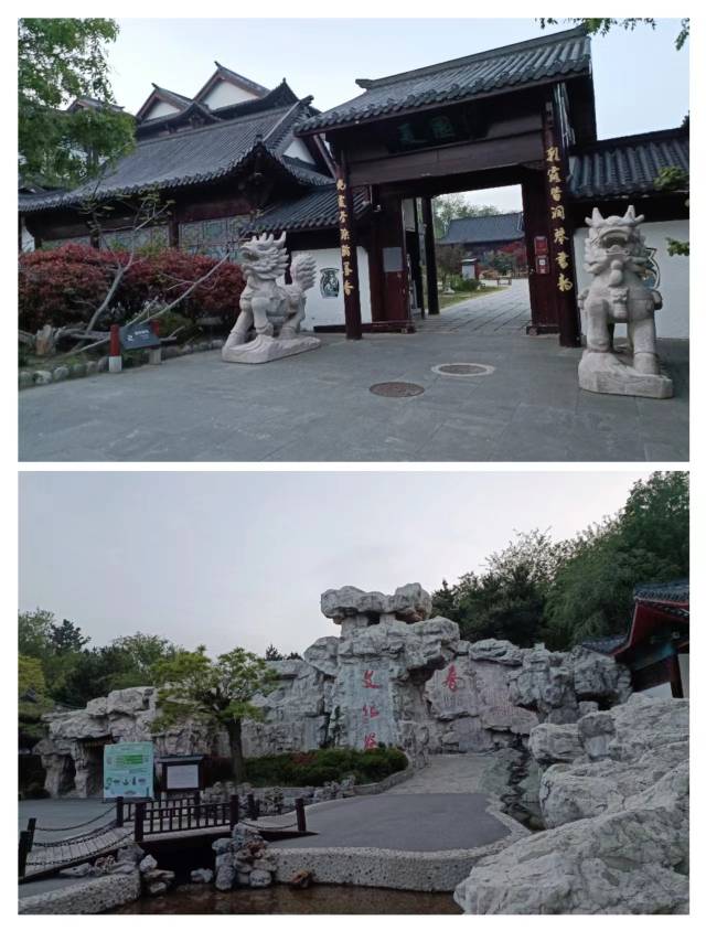 找搭子