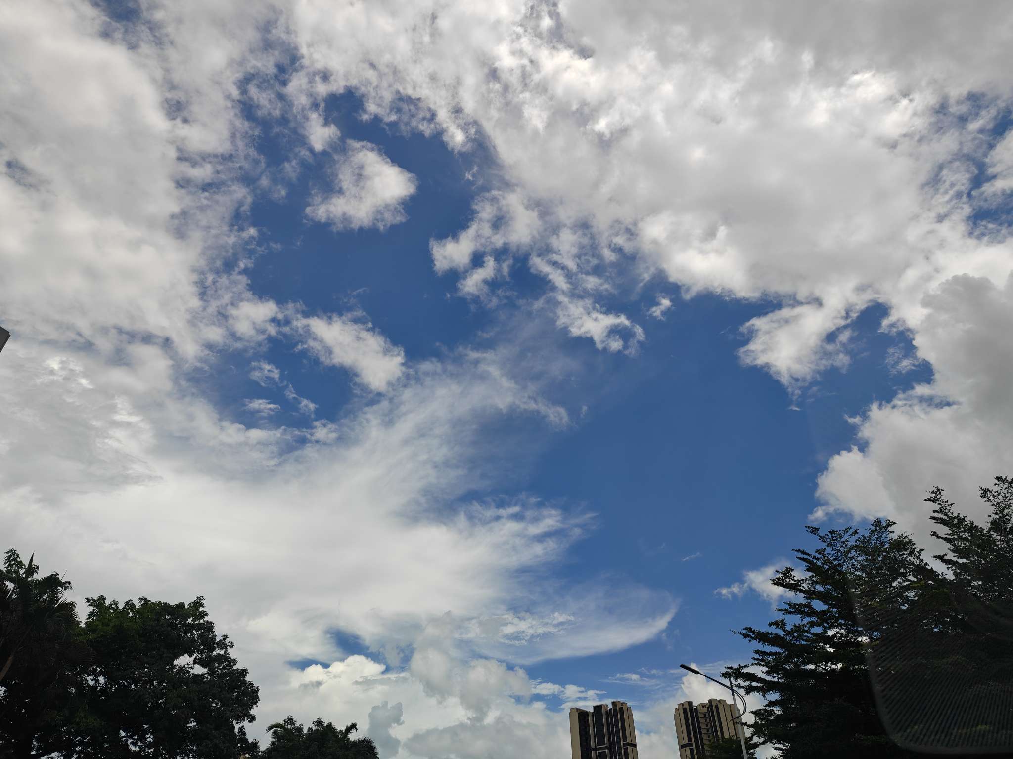 找搭子