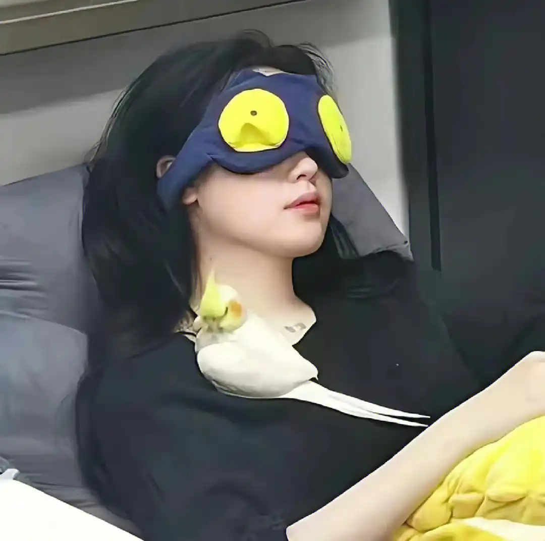 找搭子
