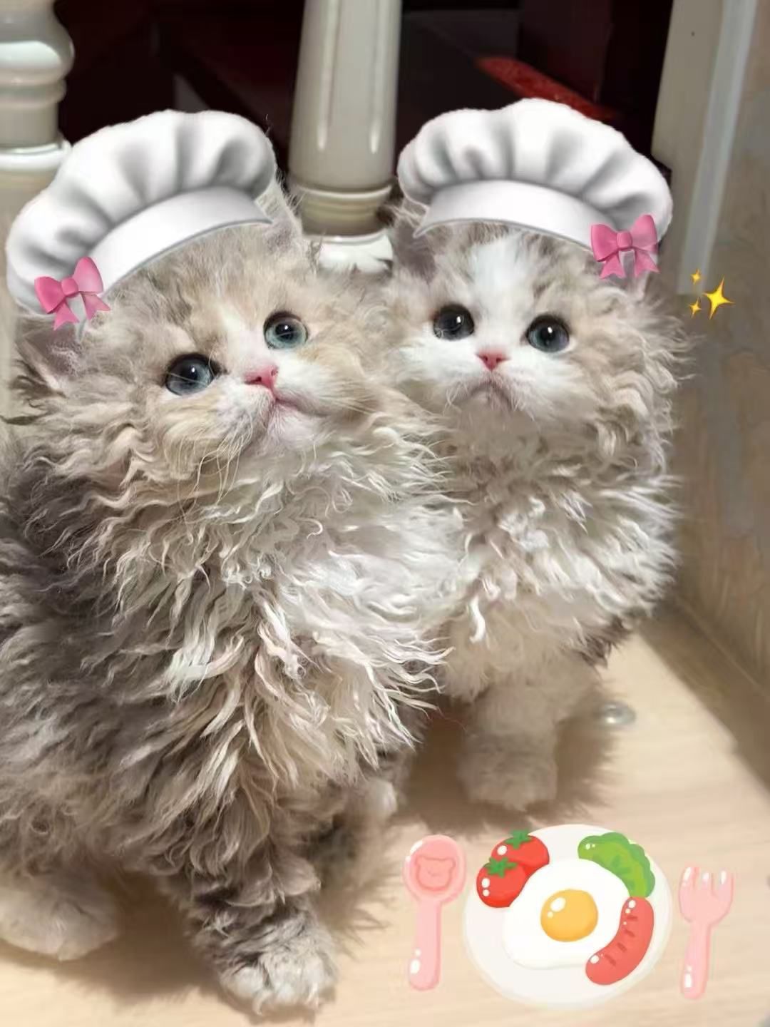 找搭子
