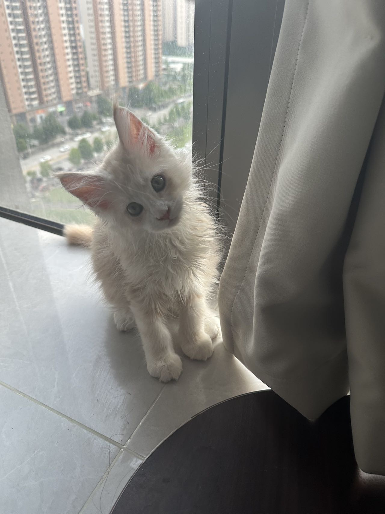 找搭子